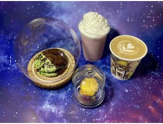 Кот и космонавт лого