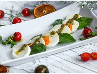 Мята Platinum Terracotta лого