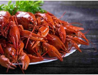 Роял раки лого