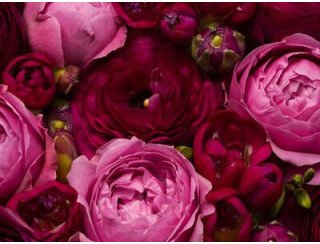 ФАБРИКА БУКЕТОВ лого