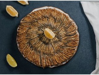 Мистер хамс лого
