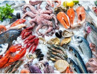 Свежая устрица лого