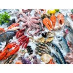 Свежая устрица