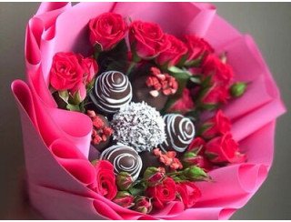 О!Пушка лого