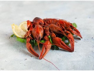 Раковарня Красный рак лого