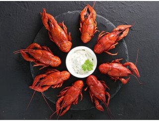 Раки Кусаки лого