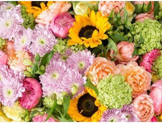 Цветочная Империя лого