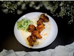 MANGAL N1
