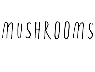 MUSHROOMS лого