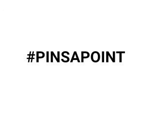 #PINSAPOINT лого