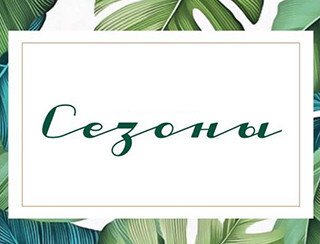 Сезоны лого