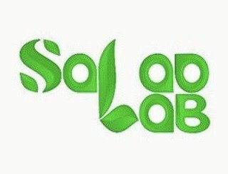 Salad Lab лого