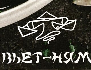 Вьет-ням лого