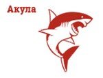 Акула