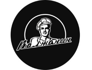 Волжанин лого